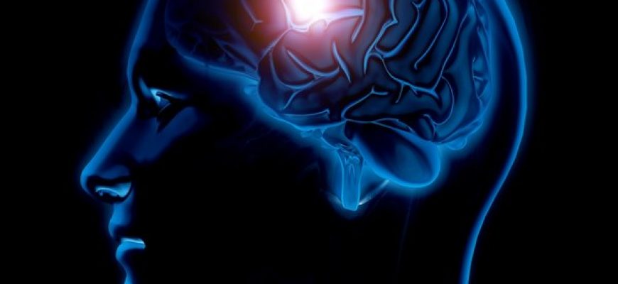 מה הקשר בין תפקוד המוח לשמיעה?